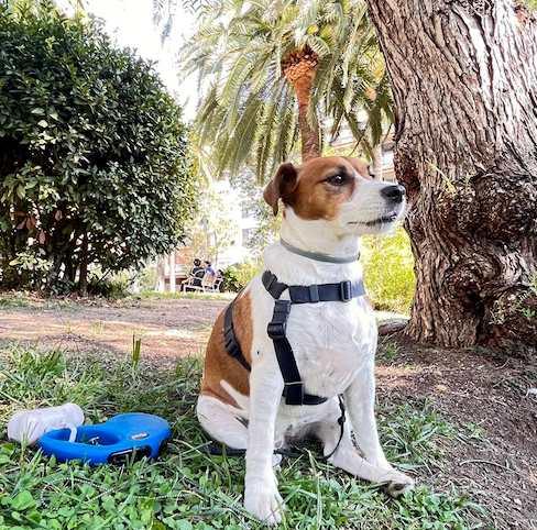 Paseos Personalizados