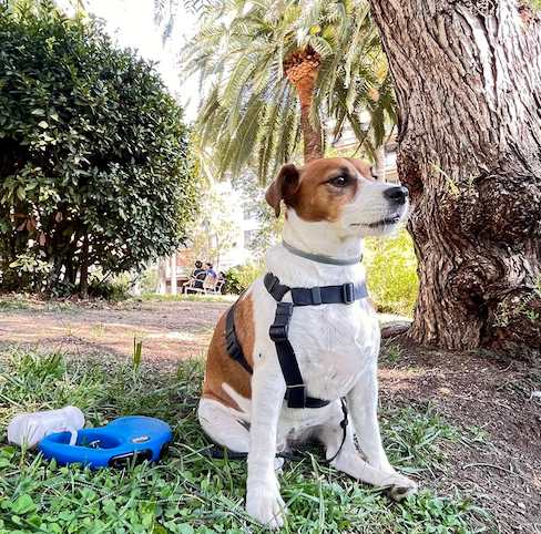 Paseos Personalizados